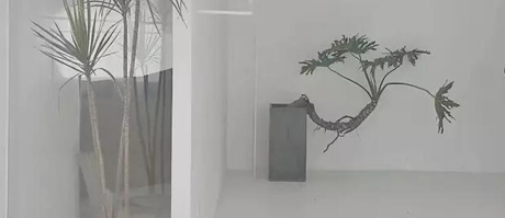 南寧展廳設(shè)計裝修中如何熟練運用材料的秘密!