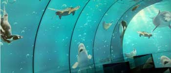 辦公室裝修可以任性到什么程度 你見(jiàn)過(guò)海底和空中的辦公室嗎？