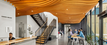 校園大廳裝修設(shè)計(jì)熱潮漸顯  國內(nèi)學(xué)校能借鑒就牛逼了