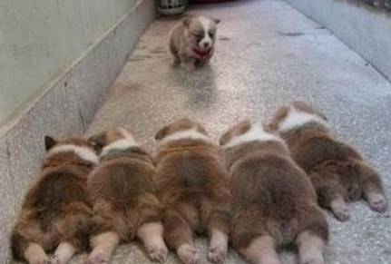 孫宇晨邀請?zhí)乩势? />
</p>
<h2>
	孫宇晨邀請?zhí)乩势?nbsp;&nbsp; 小燦扒出特朗普辦公室俯視圖
</h2>
<p style=